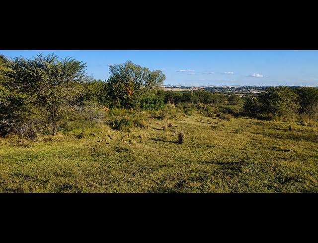 14.80HA FARM FOR SALE IN BLESBOKLAAGTE